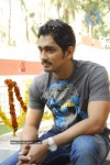 Siddharth Stills