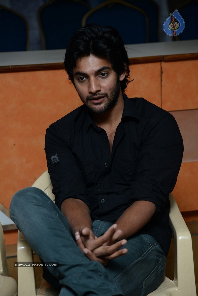 Aadi New Stills - 13 / 44 photos