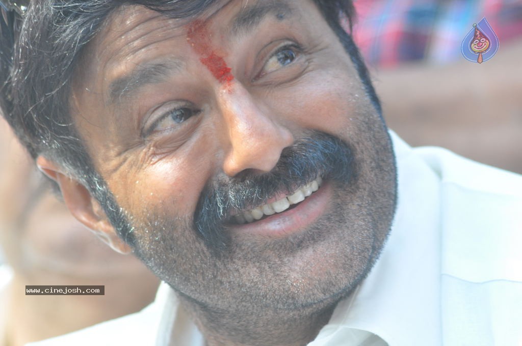 Balakrishna Latest Photos - 33 / 66 photos