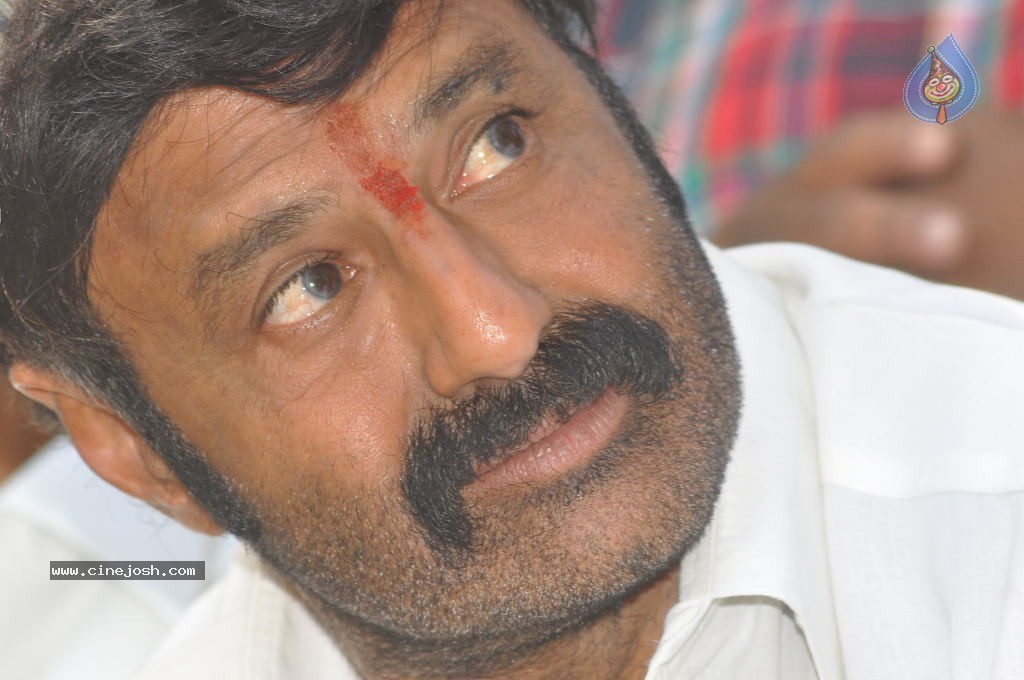 Balakrishna Latest Photos - 39 / 66 photos