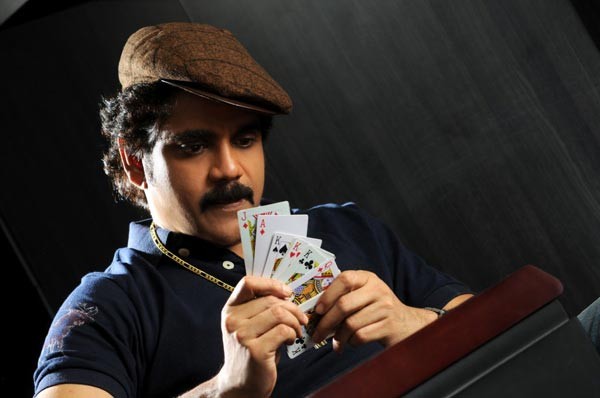 Nagarjuna - Akkineni - 3 / 27 photos