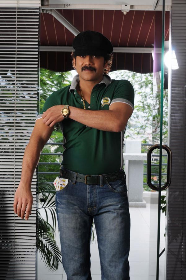 Nagarjuna - Akkineni - 12 / 27 photos