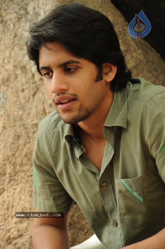 Naga Chaitanya Gallery - 32 / 32 photos