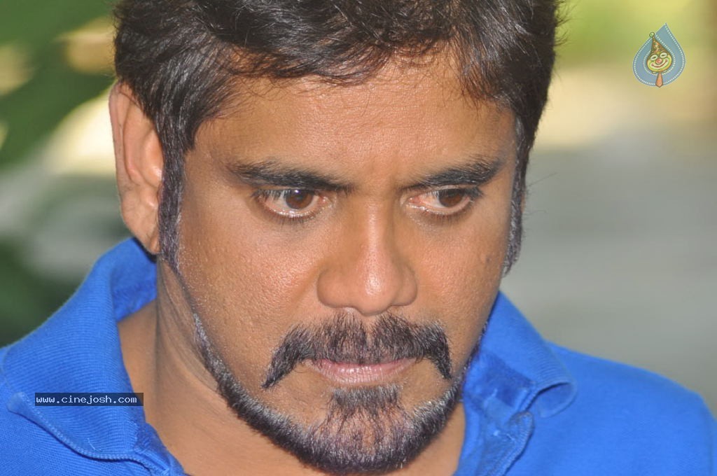 Nagarjuna New Gallery - 30 / 75 photos