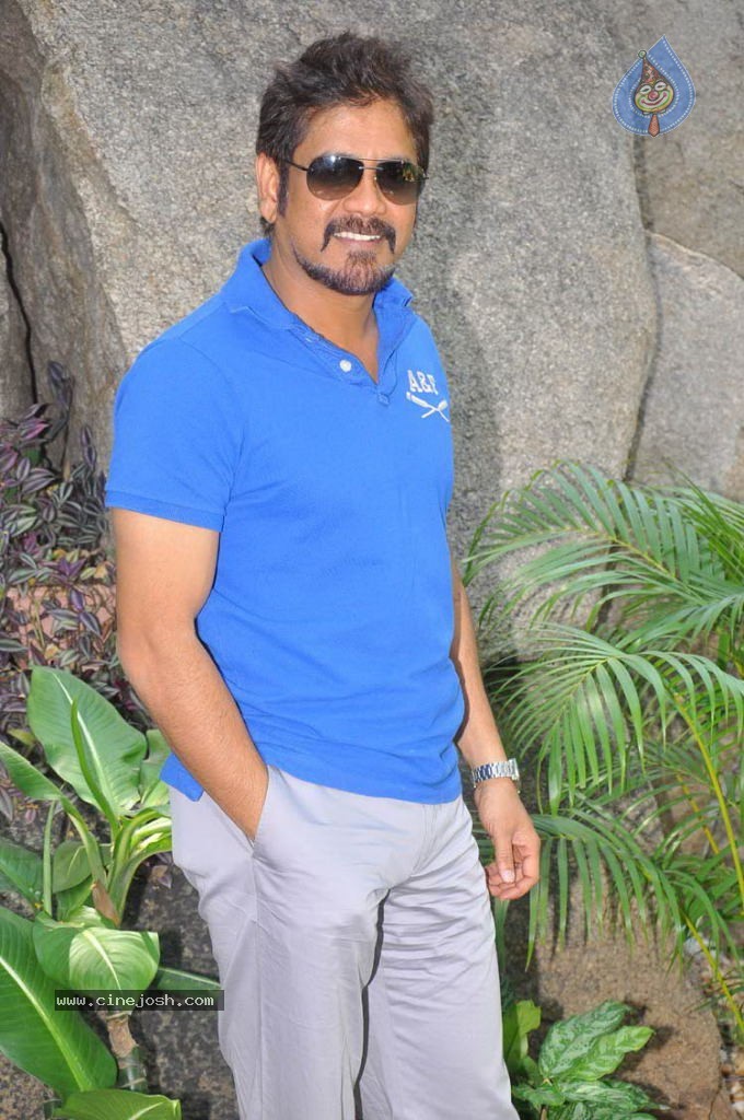 Nagarjuna New Gallery - 31 / 75 photos