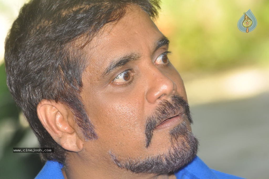 Nagarjuna New Gallery - 37 / 75 photos