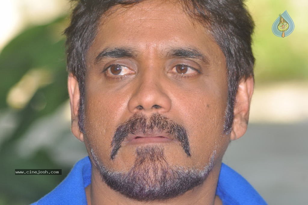 Nagarjuna New Gallery - 51 / 75 photos