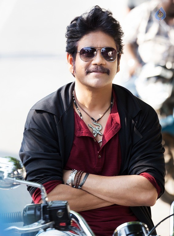 Nagarjuna New Still - 1 / 1 photos