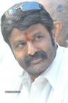 Balakrishna Latest Photos - 22 of 66