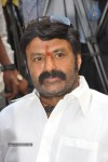 Balakrishna Latest Photos - 35 of 66