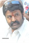 Balakrishna Latest Photos - 50 of 66