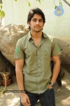 Naga Chaitanya Gallery - 6 of 32