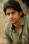 Naga Chaitanya Gallery - 26 of 32