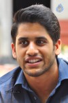 Naga Chaitanya Stills - 24 of 46