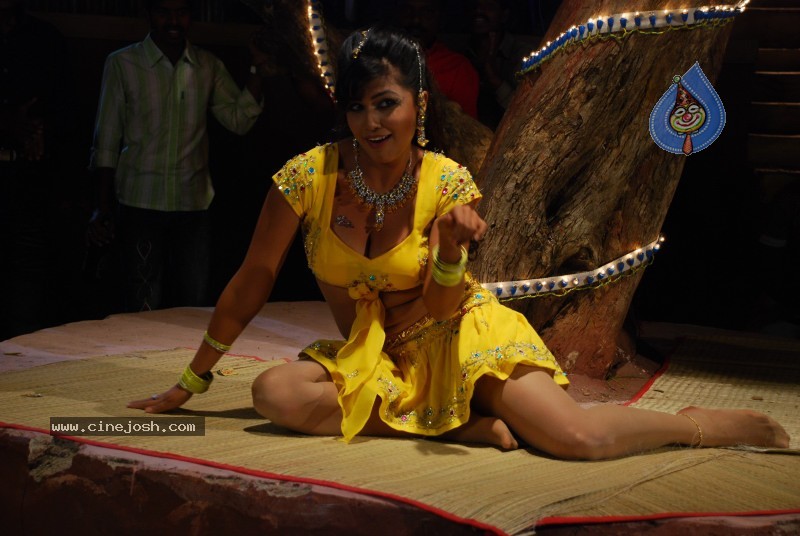 Aarti Puri Spicy Stills - 29 / 215 photos