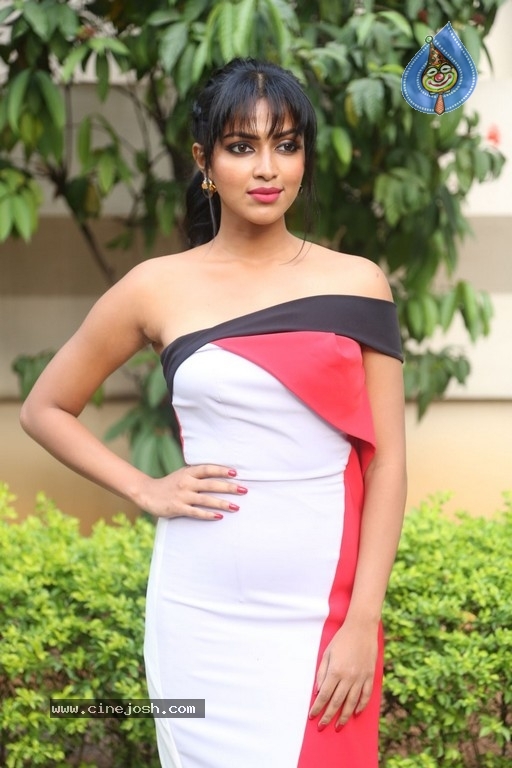 Amala Paul Photos - 17 / 35 photos