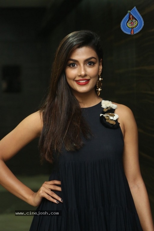 Anisha Ambrose Gallery - 14 / 21 photos