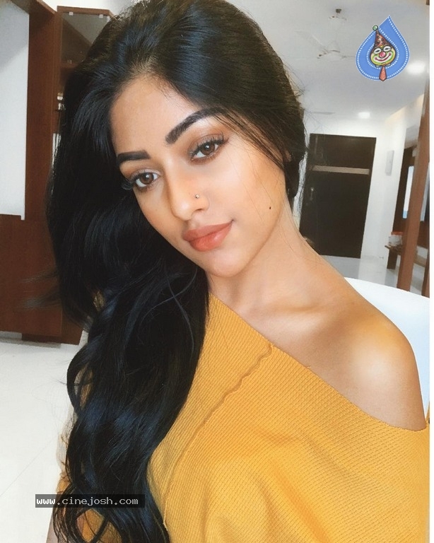 Anu Emmanuel Photos - 7 / 7 photos