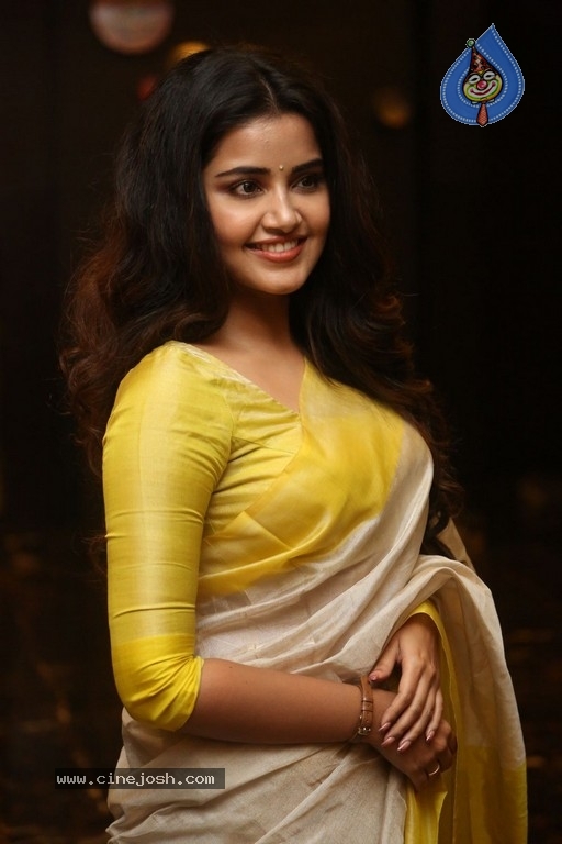 Anupama Parameswaran Gallery - 4 / 19 photos