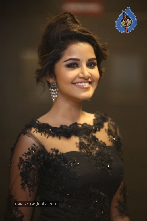 Anupama Parameswaran Photos - 4 / 49 photos