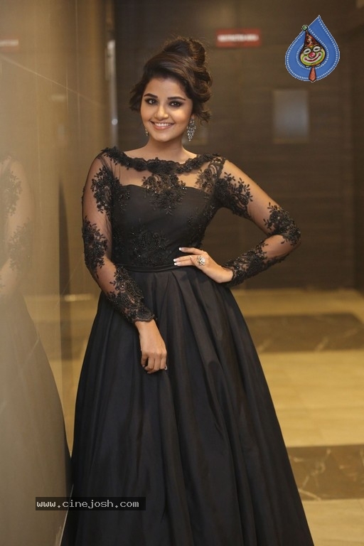 Anupama Parameswaran Photos - 19 / 49 photos