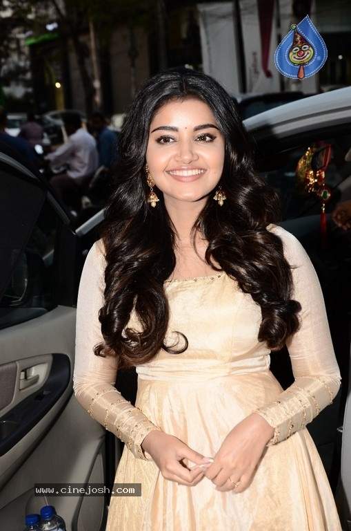 Anupama Parameswaran Pics - 22 / 26 photos