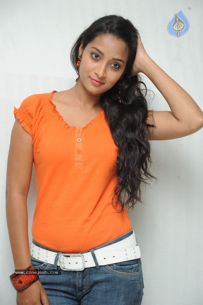 Bhanu Sri Stills - 17 / 65 photos