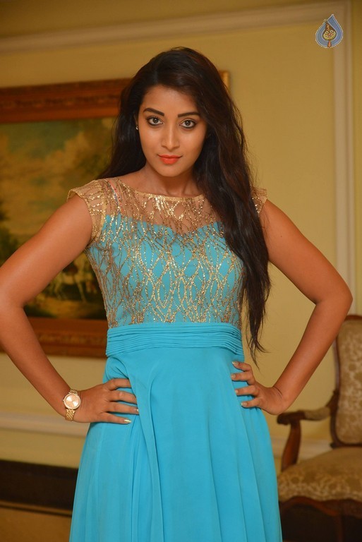 Bhanu Sri Stills - 14 / 30 photos