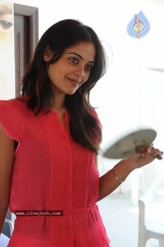 Bindu Madhavi Photo Stills  - 29 / 39 photos