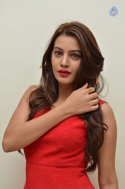 Diksha Panth Pics - 20 / 20 photos