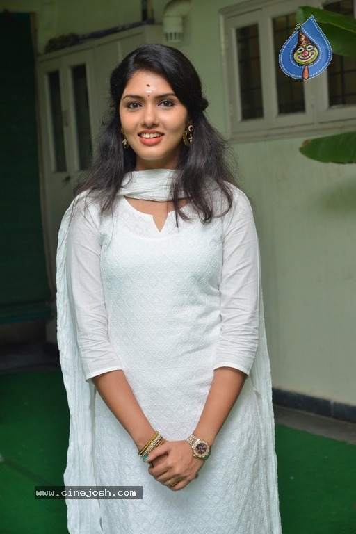 Gayathri Suresh Photos - 4 / 18 photos