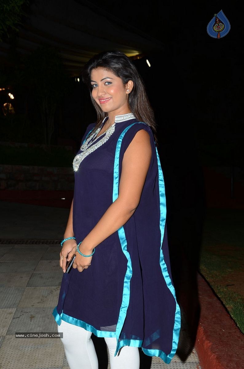 Geethanjali New Photos - 18 / 55 photos