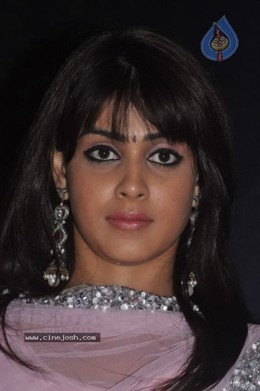 Genelia Stills - 10 / 28 photos