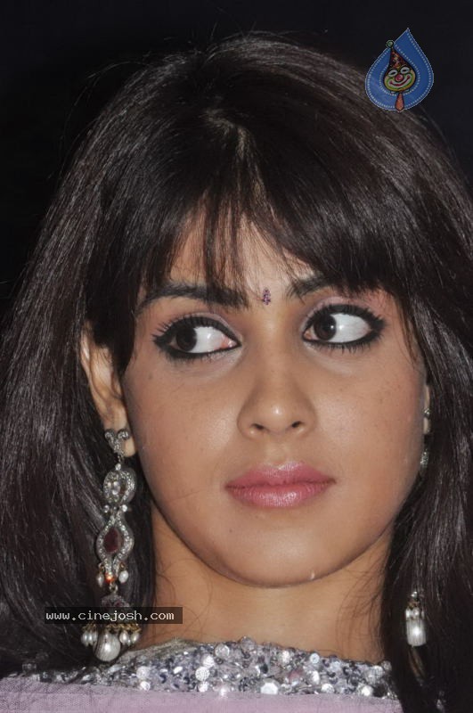 Genelia Stills - 18 / 28 photos