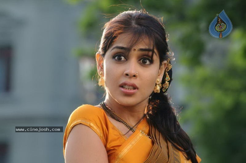 Genelia Stills - 23 / 28 photos