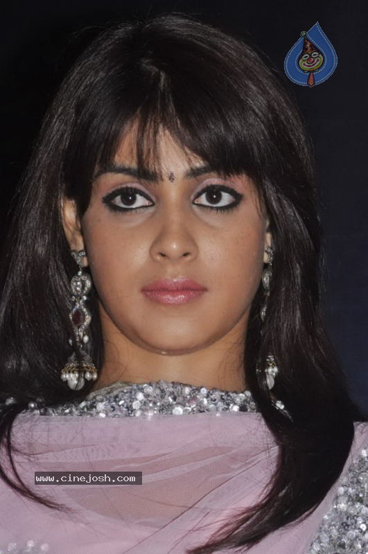 Genelia Stills - 28 / 28 photos