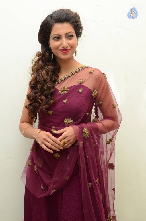 Hamsa Nandini Photos - 13 / 56 photos