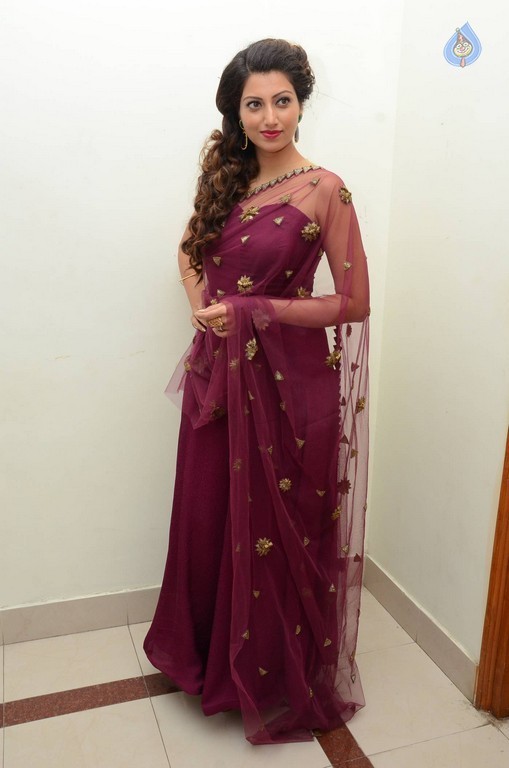 Hamsa Nandini Photos - 16 / 56 photos