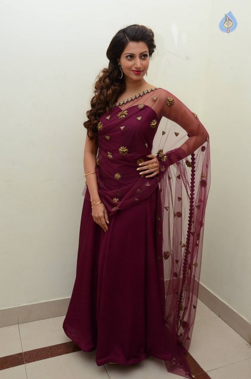 Hamsa Nandini Photos - 24 / 56 photos