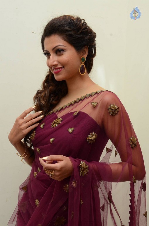 Hamsa Nandini Photos - 26 / 56 photos