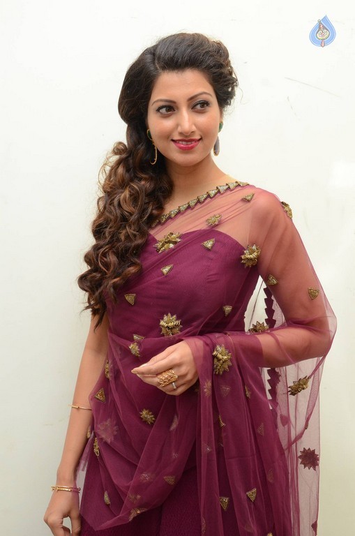 Hamsa Nandini Photos - 32 / 56 photos