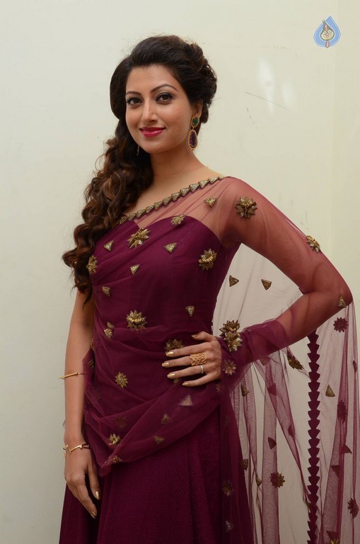 Hamsa Nandini Photos - 44 / 56 photos