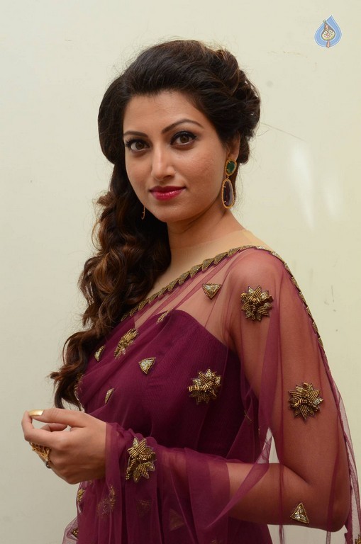 Hamsa Nandini Photos - 50 / 56 photos