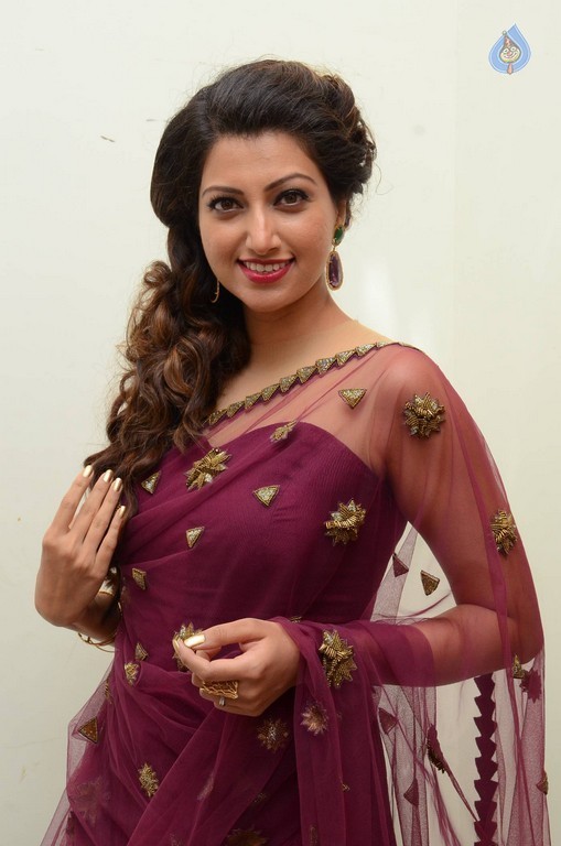 Hamsa Nandini Photos - 54 / 56 photos