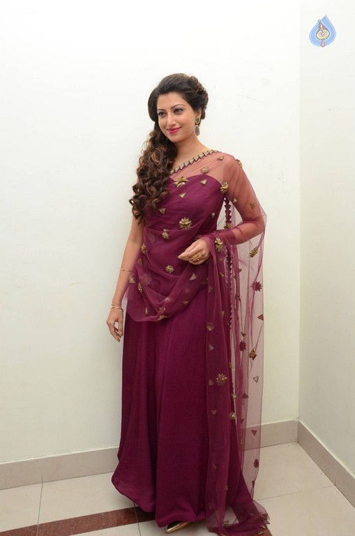 Hamsa Nandini Photos - 56 / 56 photos