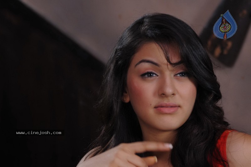 Hansika Motwani Gallery - 23 / 47 photos