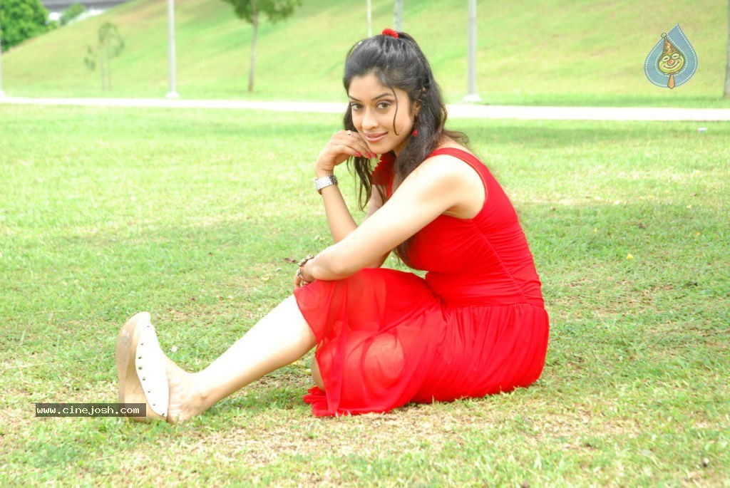 Harika New Gallery - 64 / 65 photos