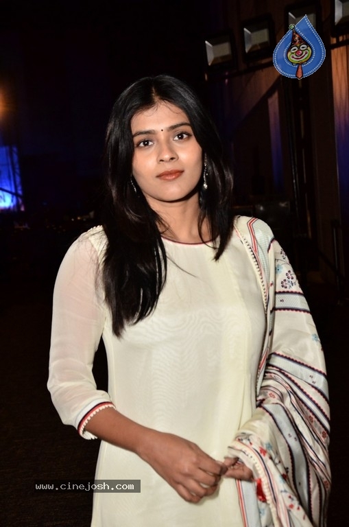 Hebah Patel Photos - 29 / 31 photos