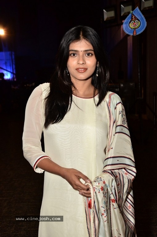 Hebah Patel Photos - 30 / 31 photos