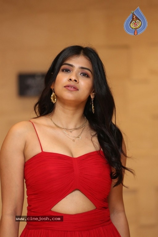 Hebah Patel Photos - 6 / 14 photos